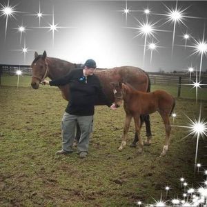 Meet your Posher, Sandy